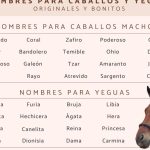 nombres de caballos