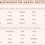 nombres de harry potter