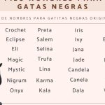 nombres para gatas negras