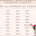 nombres para perritas hembras